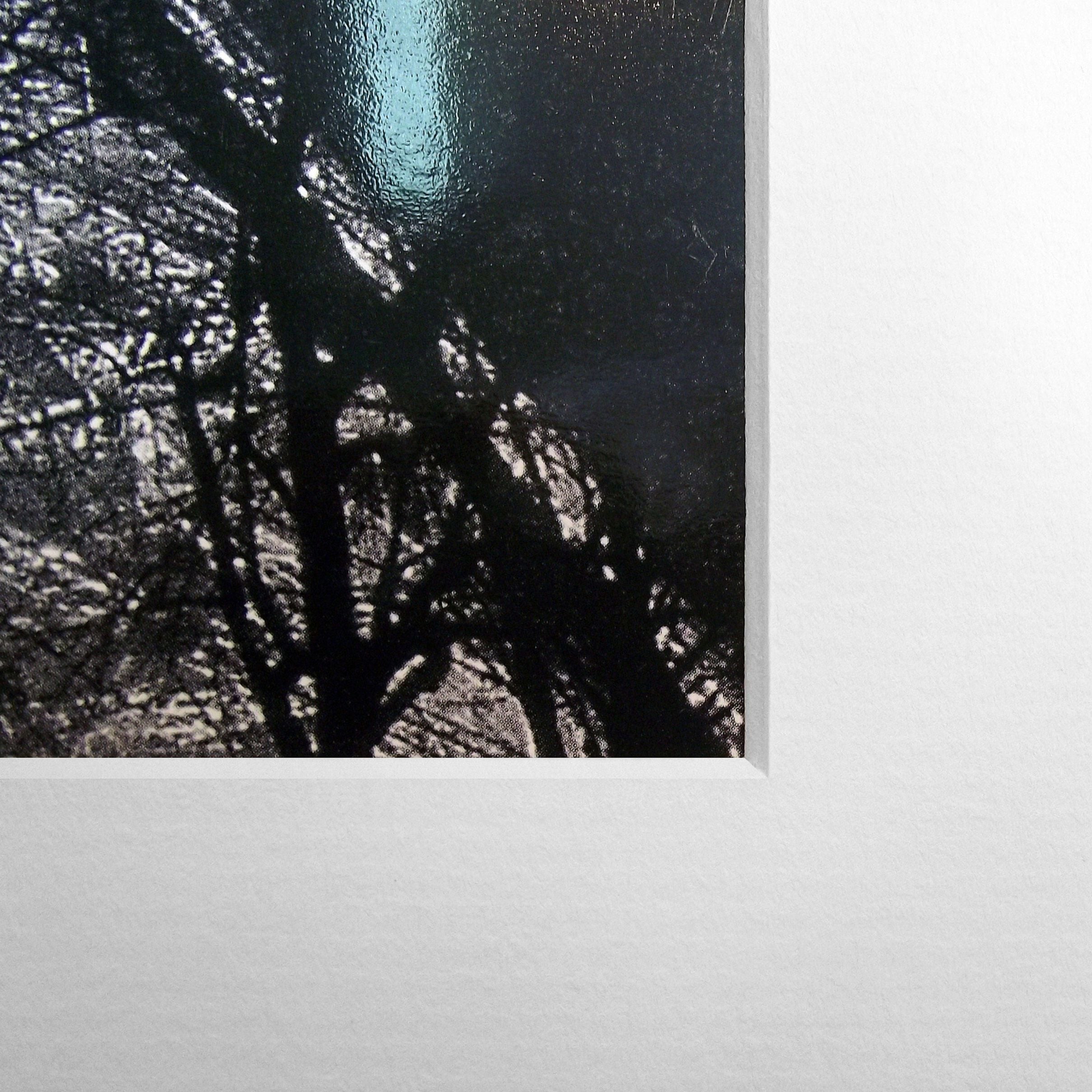 3420191-03.jpg