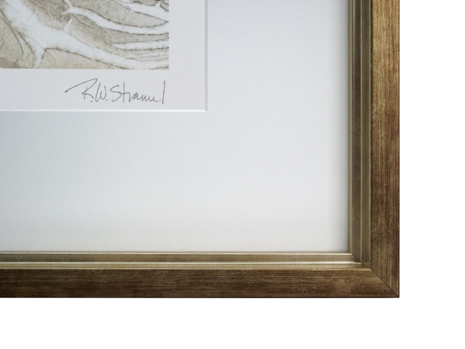 Obraz 63x63cm Odbicie I Renee W. Stramel
