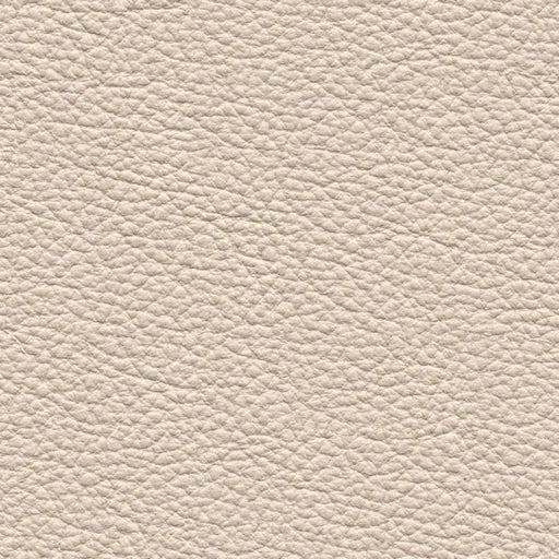 Ocean 433 Betula
