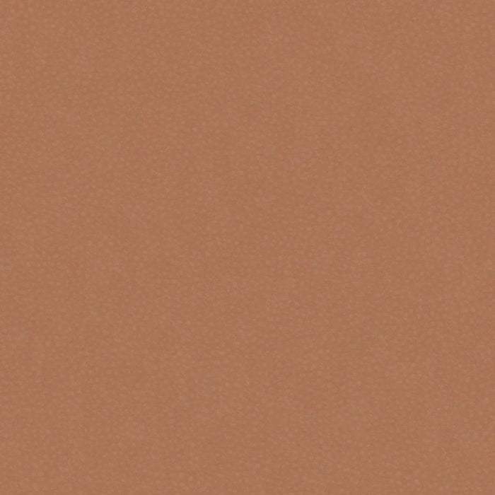 Neo Soft 531