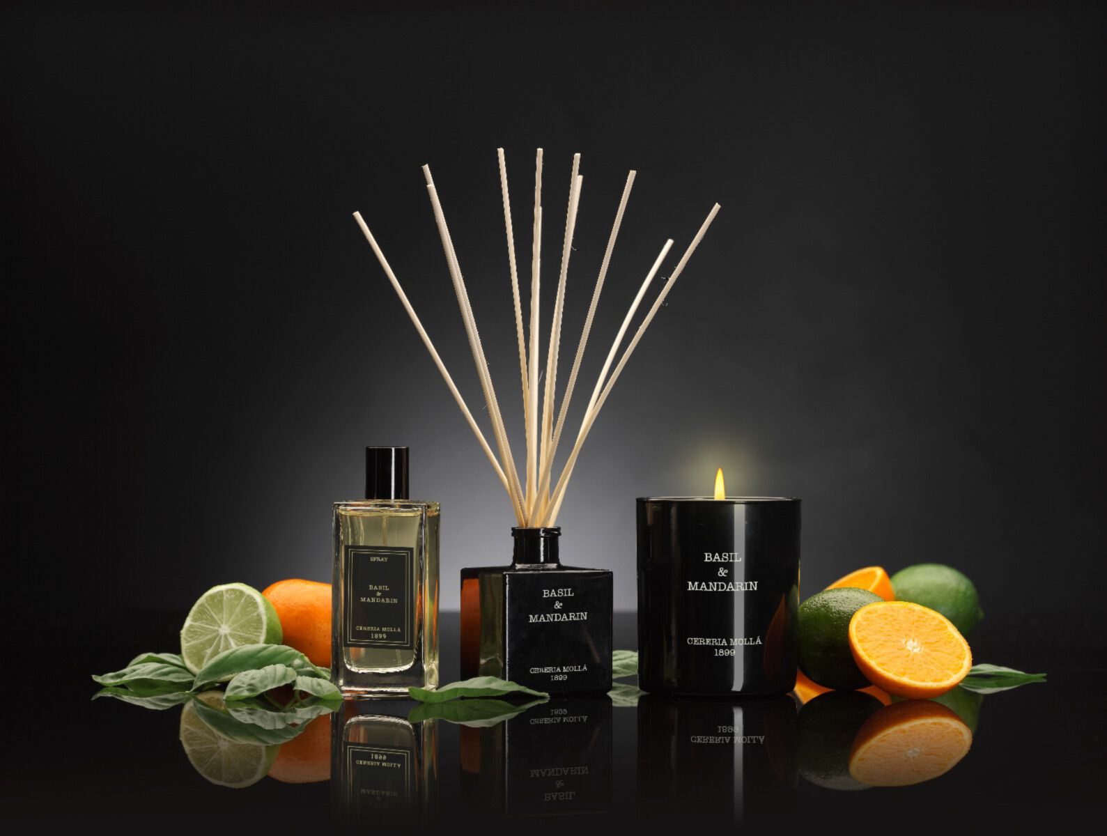 DYFUZOR TRZCINOWY PREMIUM 100ml - Basil & Mandarin