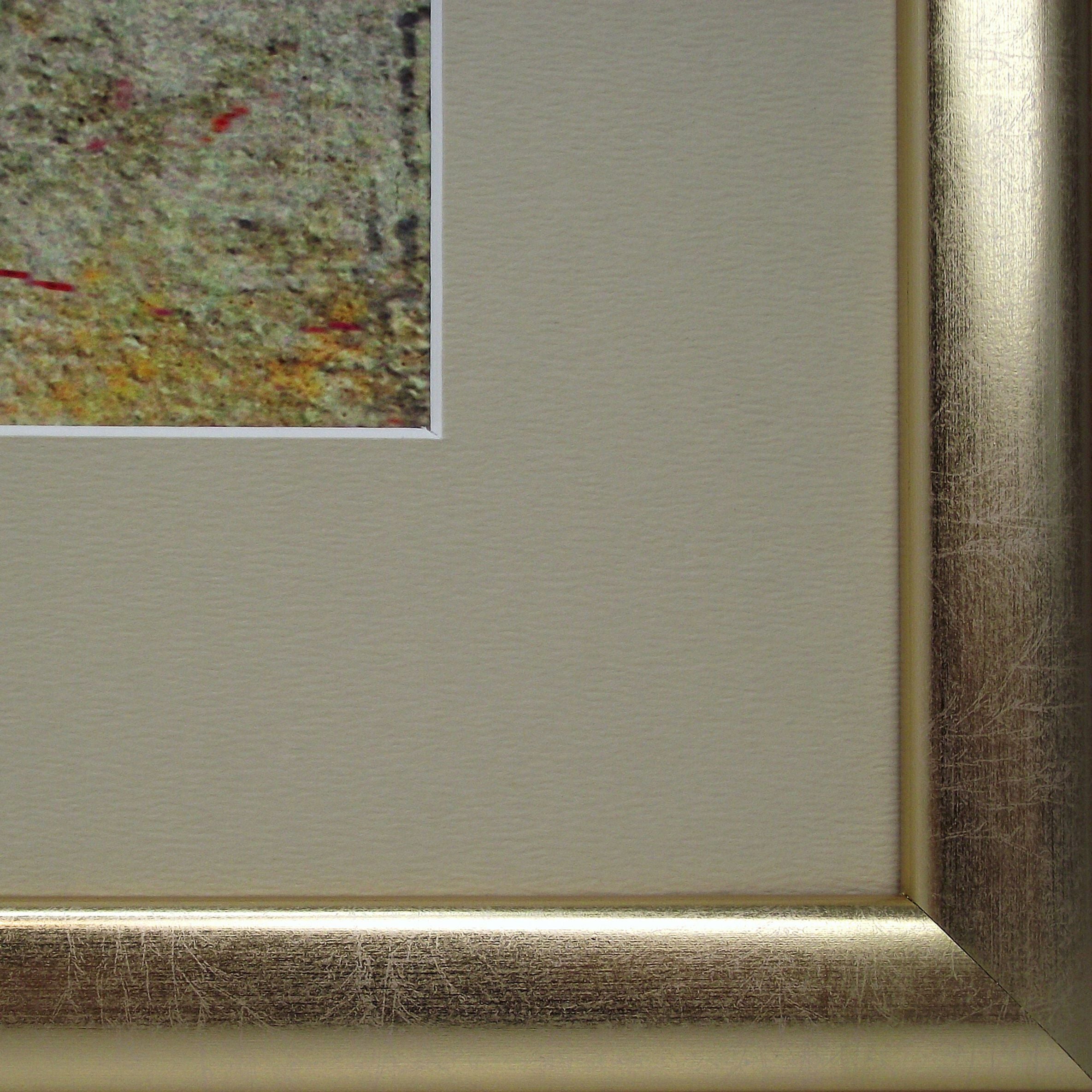 3420935-04.jpg