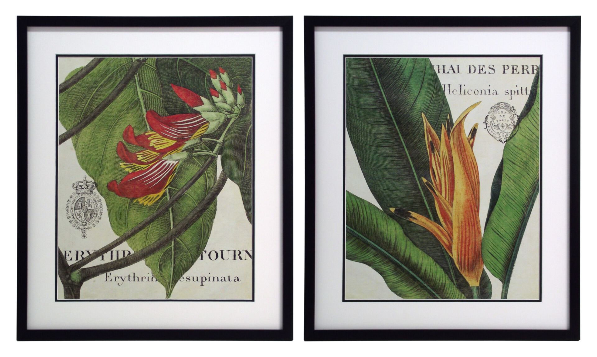 Set of 2 paintings measuring 55x64cm