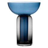 Torus II