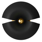 Black Gold 30 cm
