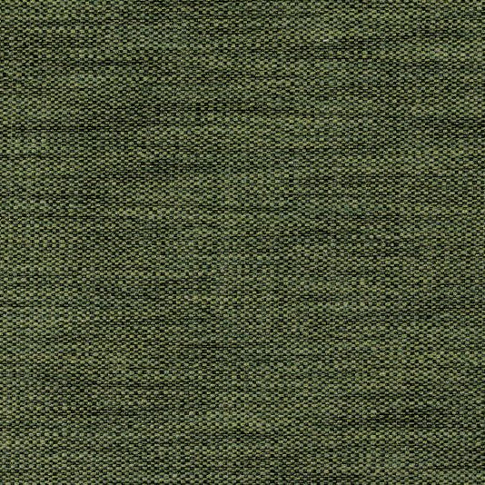 Avena 06