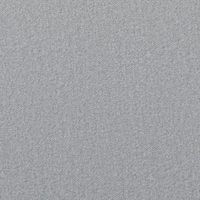 ELLI 81