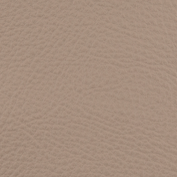 Safari
