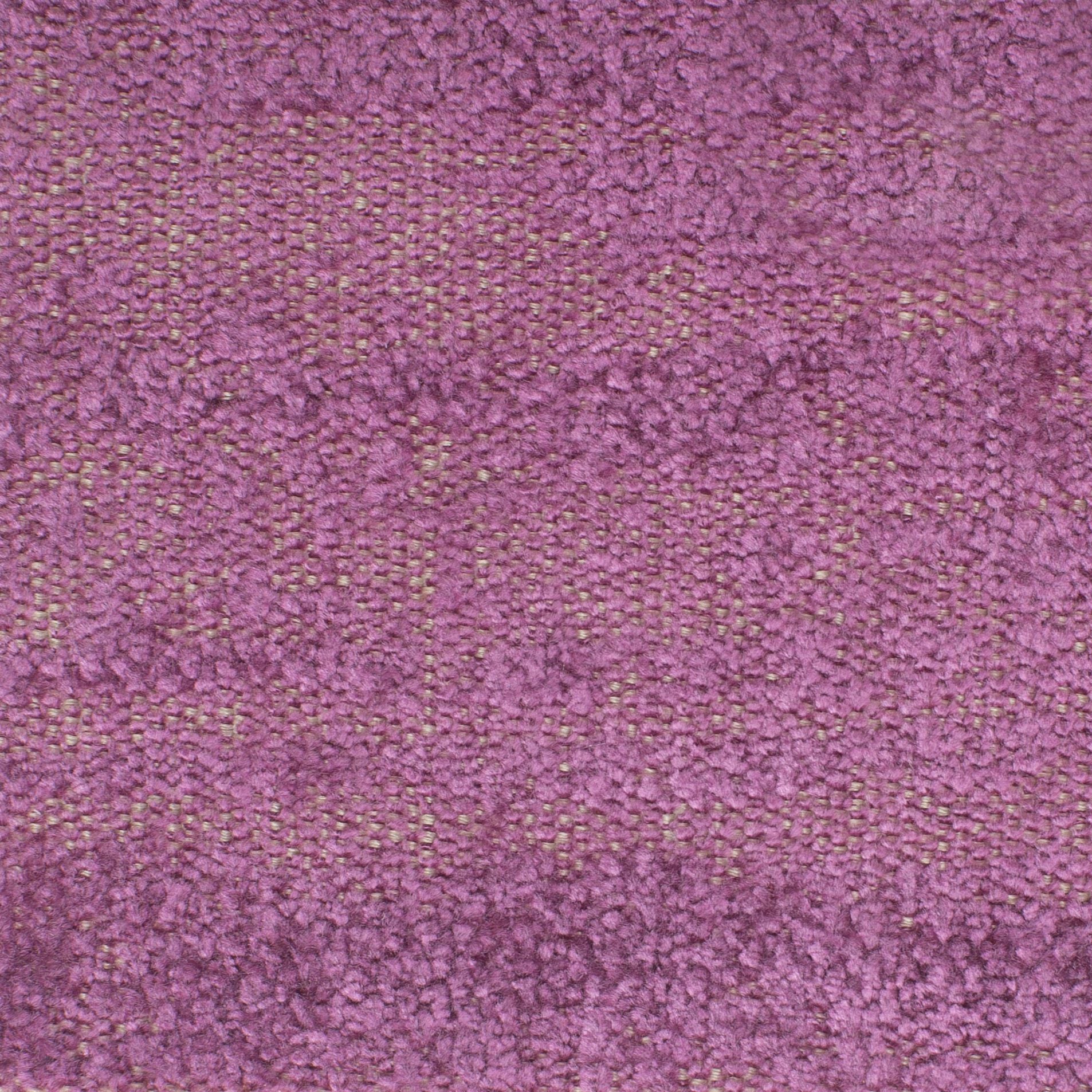 c41-02.jpg